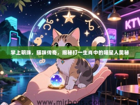 掌上明珠,猫咪传奇,揭秘打一生肖中的喵星人奥秘 掌上明珠,猫咪传奇,揭秘打一生肖中的喵星人奥秘