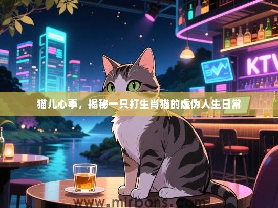 猫儿心事，揭秘一只打生肖猫的虚伪人生日常